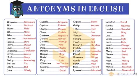 and antonyms|examples of antonyms in sentences.